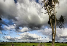 31省区市新增12例本土确诊, 永年县疫情最新消息