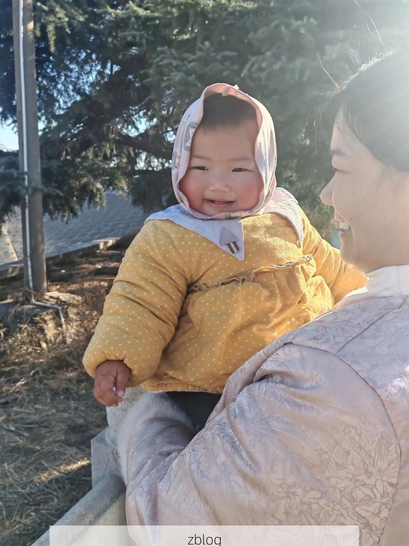 昌图县零感染背后的地理屏障:辽北平原的防疫坚守_21305