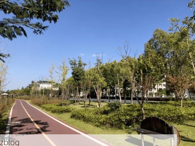 巢湖之畔的防疫样本：地理屏障与社区网格的双重防线