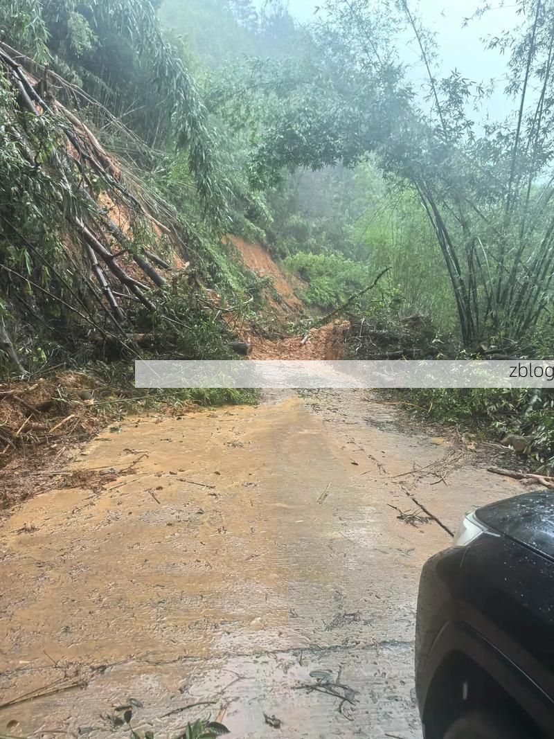 瑞昌：长江码头与城中村结构下的疫情破防