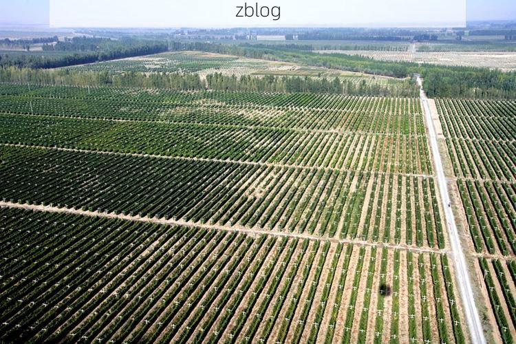 高原小城防疫样本：高台县如何守住河西走廊的零感染防线？