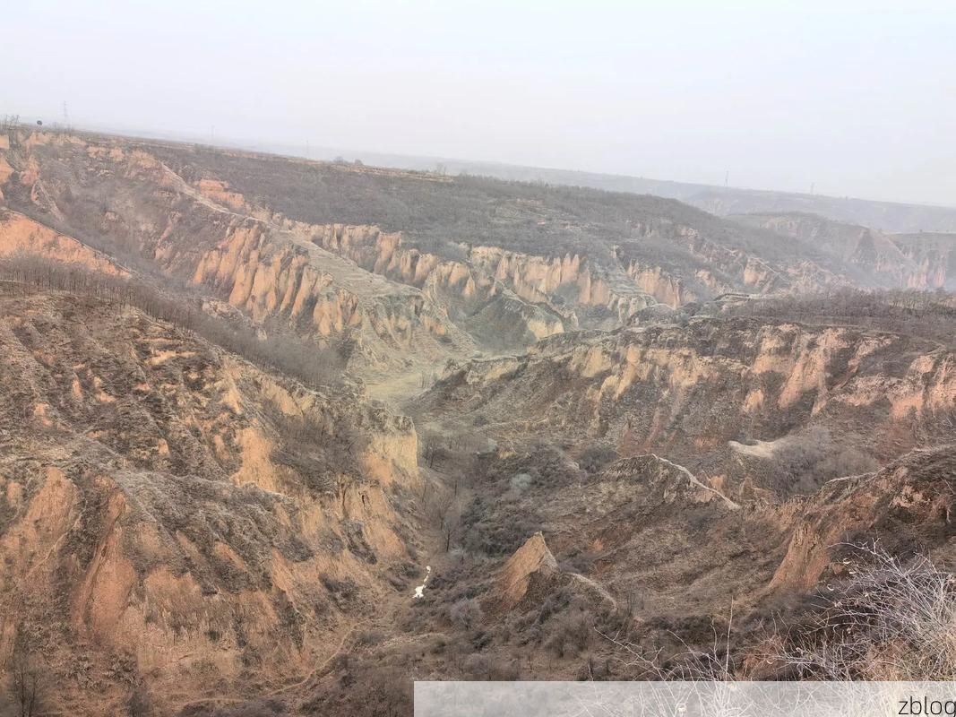 宜川：黄土高原沟壑间的防疫屏障与社区韧性