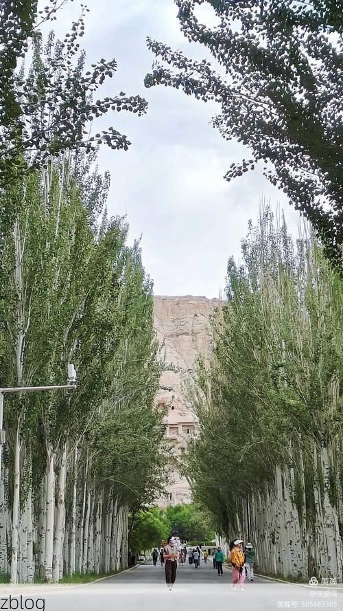 库车疫情观察：南疆交通枢纽的防控压力与地理屏障