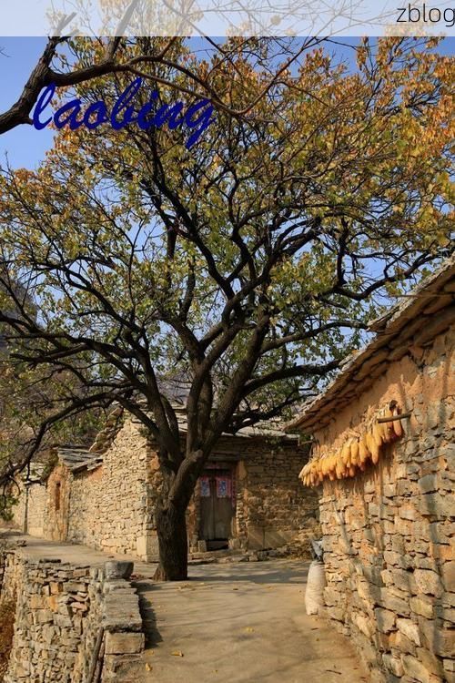 顺平县：太行山麓下的县域防疫样本解析