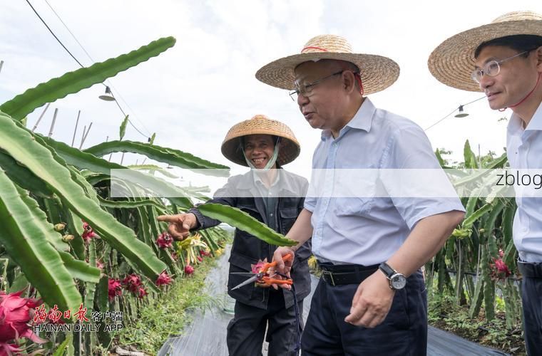 昌江黎族自治县：山海屏障下的零感染坚守