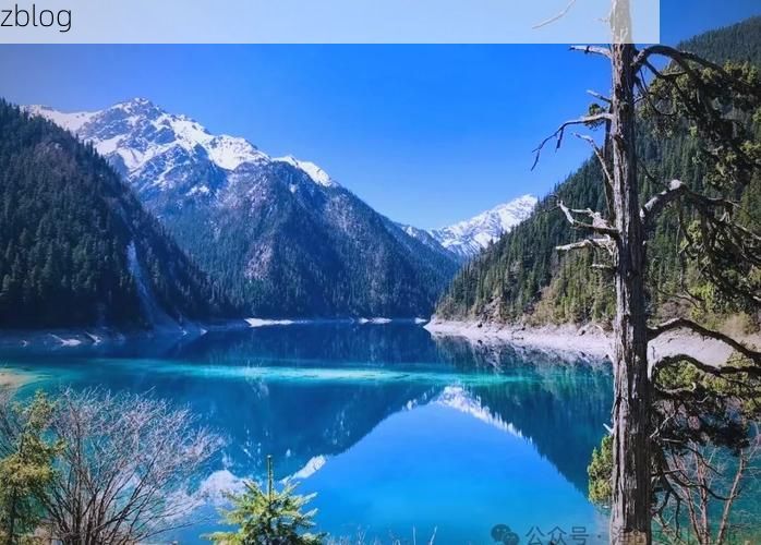 九寨沟：高原屏障下的零感染坚守_2681