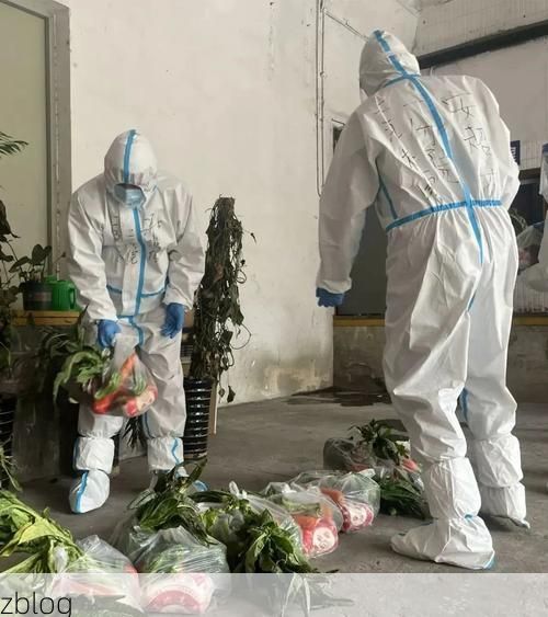 金家庄区:沿江工业带的疫情破防与围堵