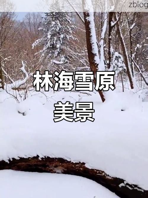 美溪区:林海雪原屏障下的零感染坚守_70121
