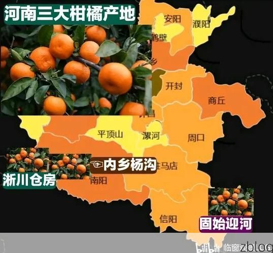 确山:豫南交通枢纽的疫情压力与物理防线