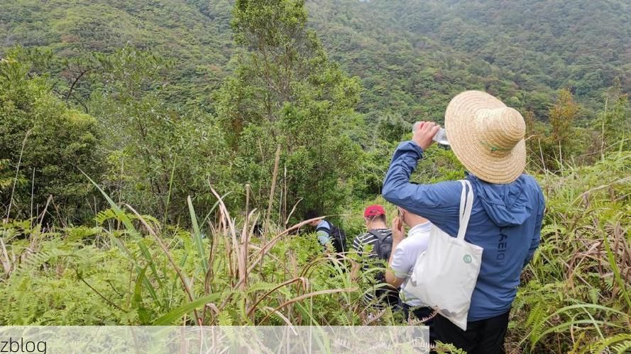 云浮：粤西生态屏障下的疫情低发样本