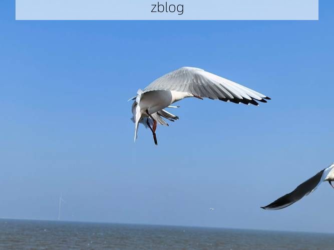 瓦房店：渤海湾畔的防疫坚守与地理屏障_3791