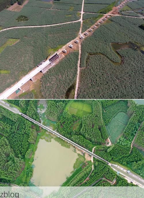 合山：桂中工业小城的疫情防波堤_36905