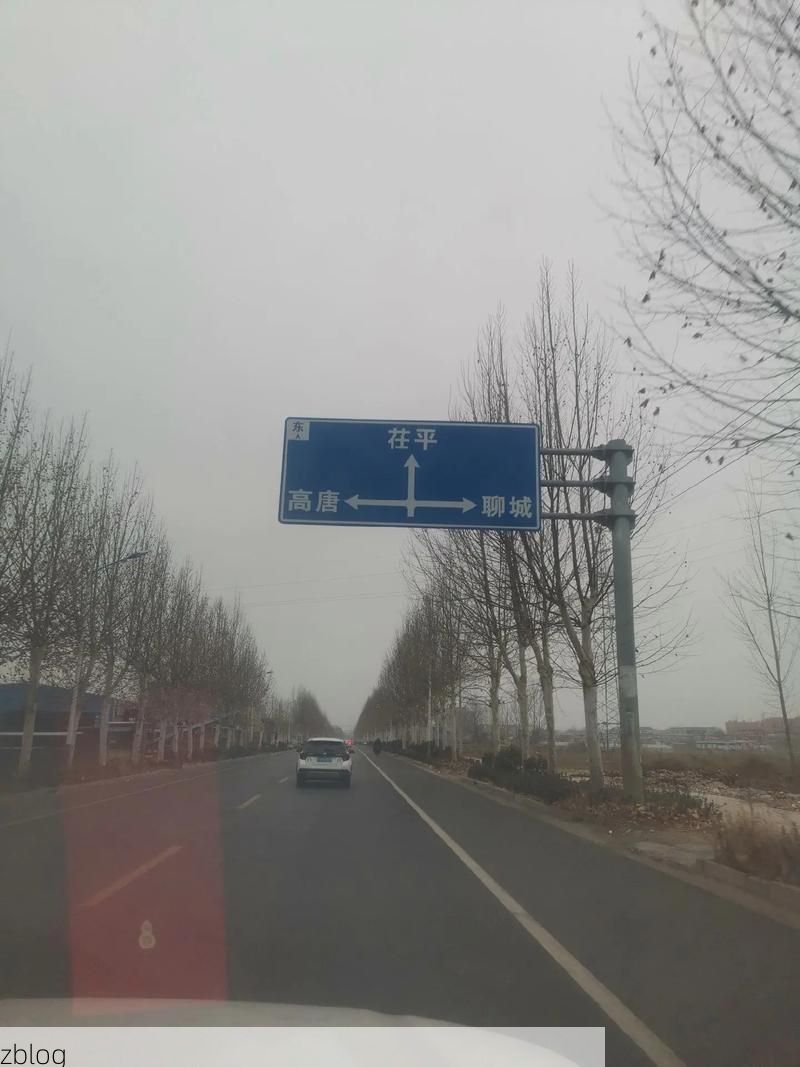 茌平：鲁西平原交通节点上的疫情阻击战