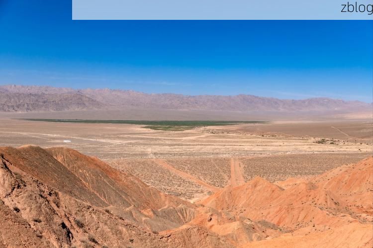 中宁枸杞红区：戈壁绿洲的疫情防线与破口_8600