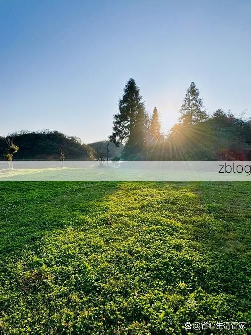 邵阳县：雪峰山屏障下的零感染坚守与破防时刻