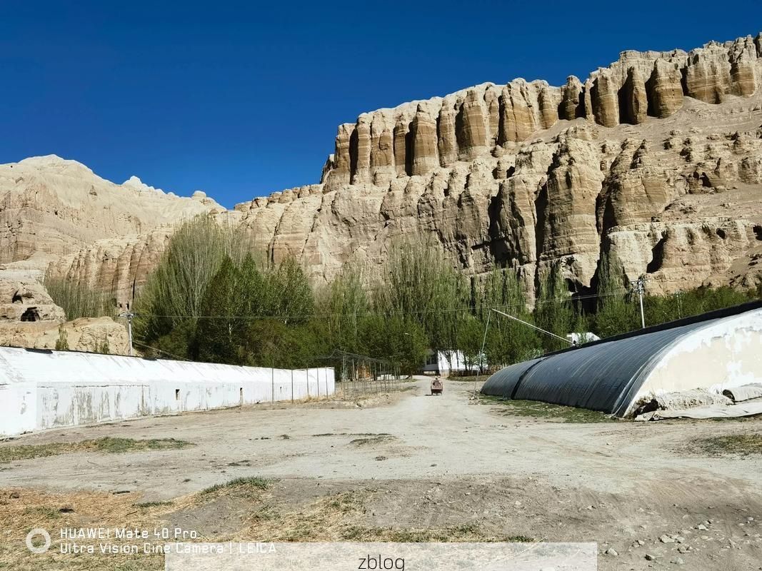 高原屏障下的零感染坚守：西藏阿里地区防疫地理学观察_11569