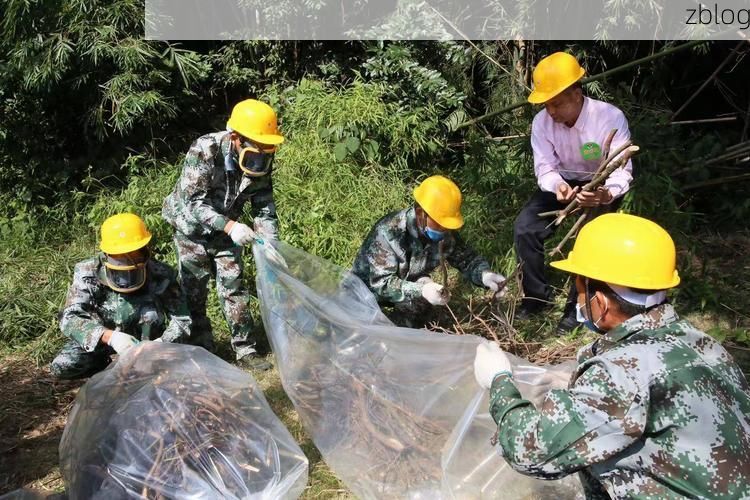 翁源县疫情透视:粤北生态屏障下的防控样本