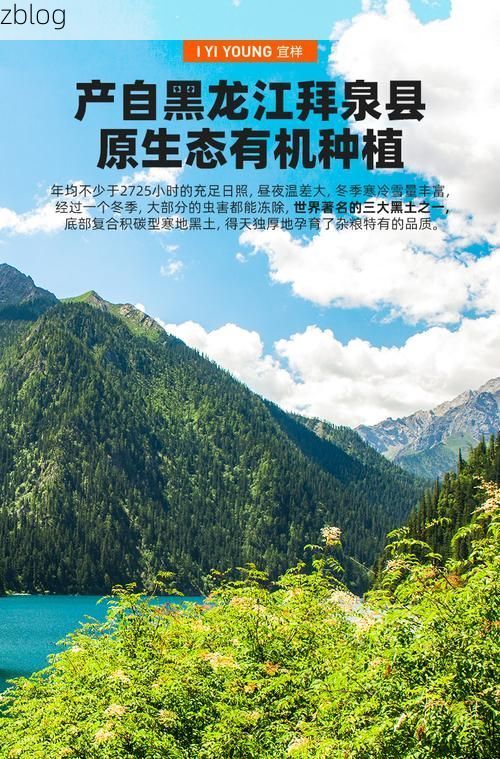 拜泉:寒地黑土上的静默防线与零星破防