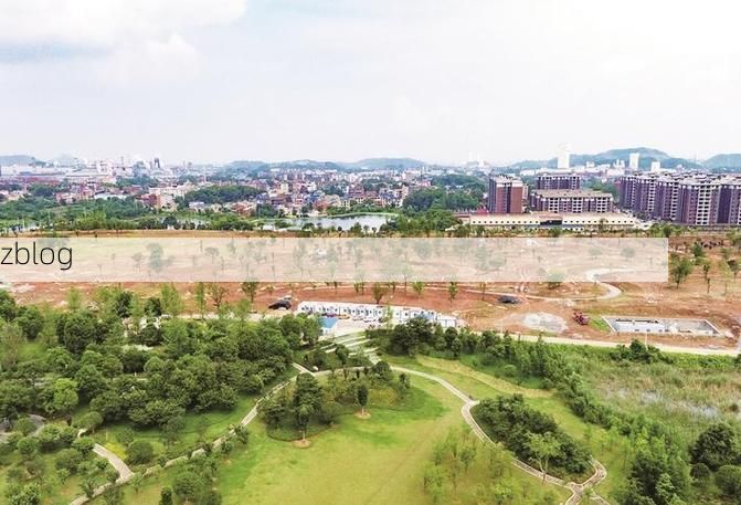 大冶市：矿冶名城在疫情冲击下的防控轨迹