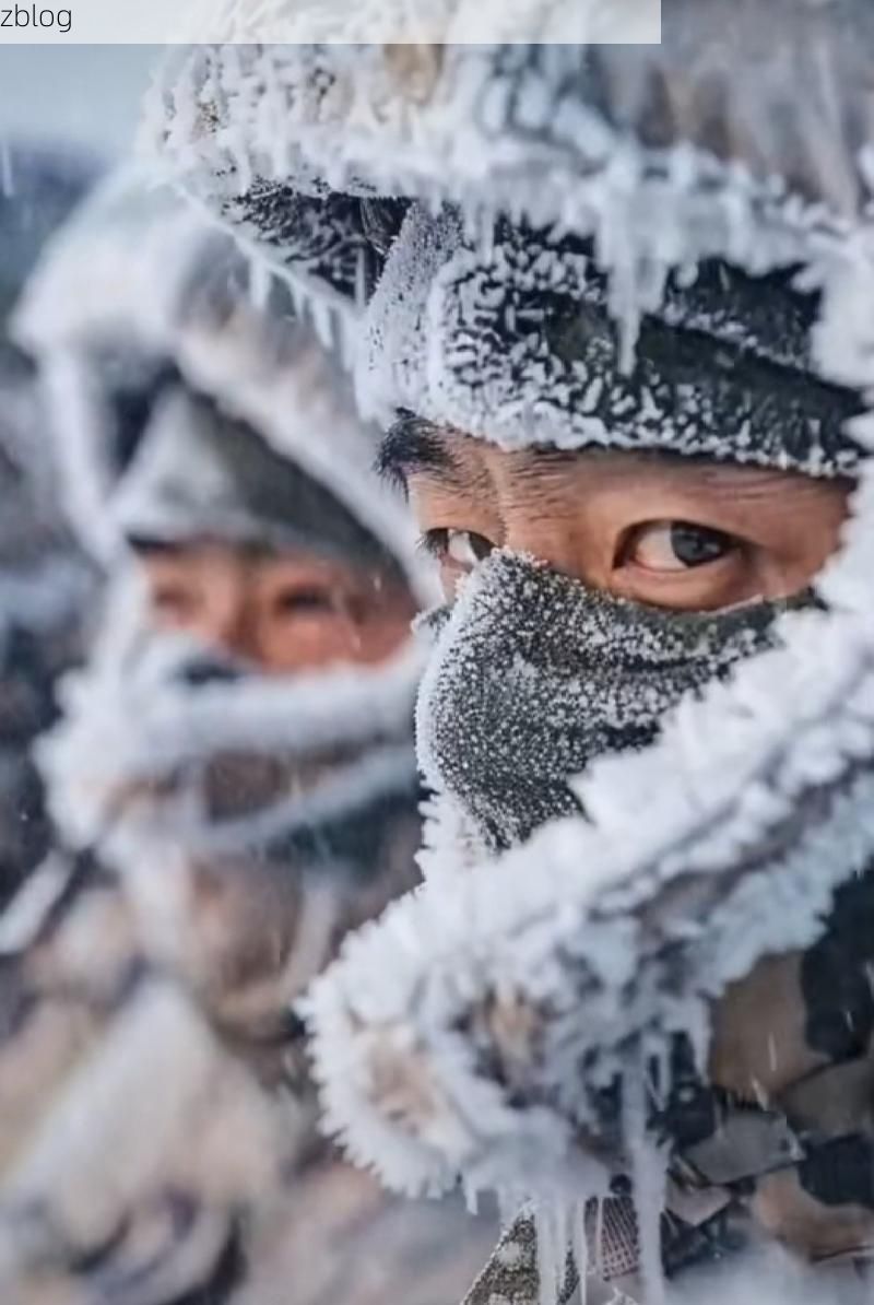 大兴安岭:极寒林海屏障下的零感染坚守