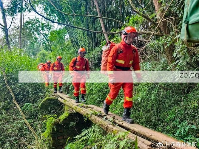 蕲春县：大别山腹地的疫情防线与精准防控实践