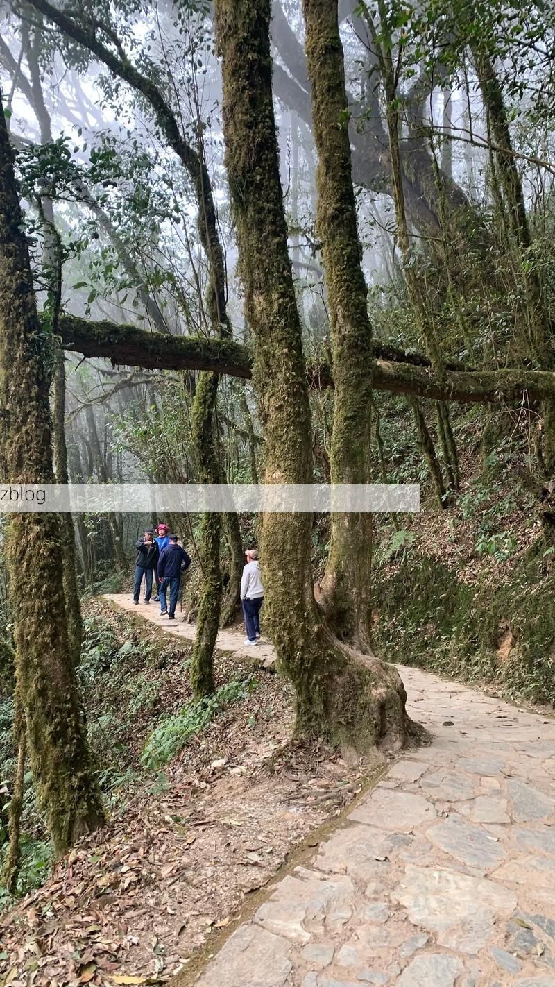 景东彝族自治县：哀牢山屏障下的疫情低发区探因