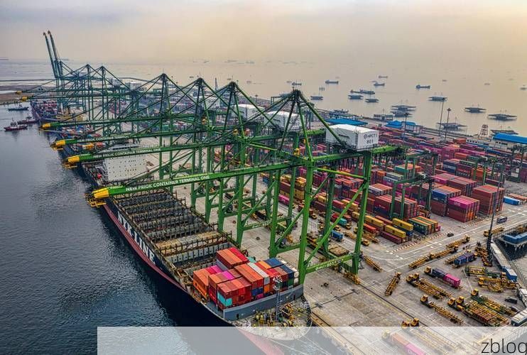 【西区：港口枢纽下的疫情破防与围堵】