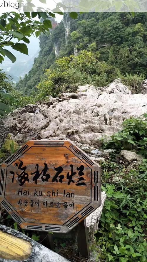 【长阳疫情观察：武陵山区的防控挑战与地理屏障】