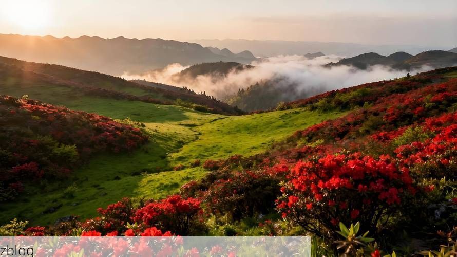 六盘水：高原凉都的疫情防线与破防时刻