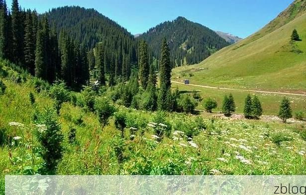 察布查尔锡伯自治县新增1例无症状感染者  察布查尔锡伯自治县疫情防控工作最新通报