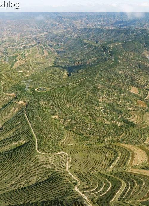 横山疫情观察：黄土高原沟壑区如何构筑防疫屏障？