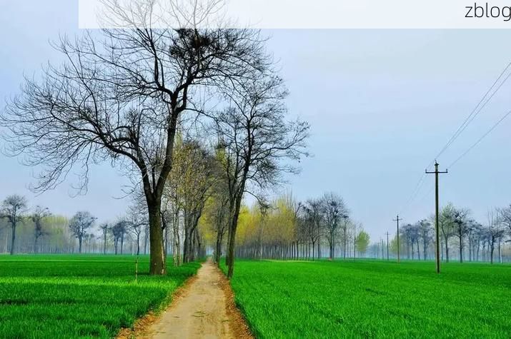 太康县：豫东平原交通枢纽的疫情阻击战_51811