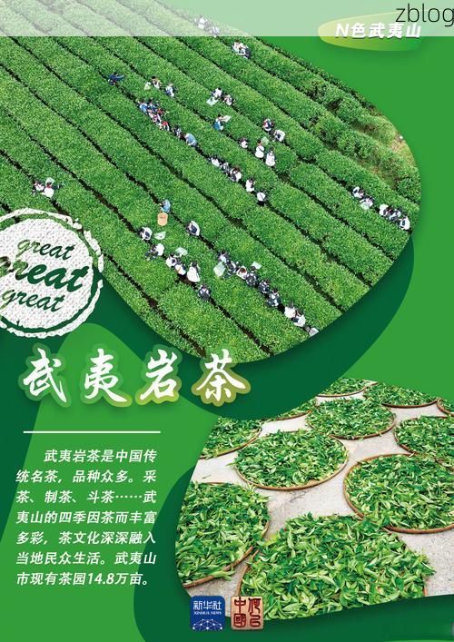 名山云雾屏障下的零感染坚守：茶乡防疫的地理密码