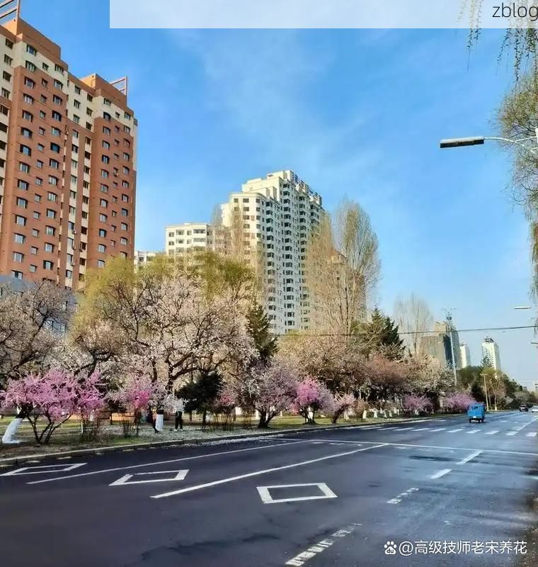 双鸭山：寒地小城的防疫坚守与地理屏障_70226