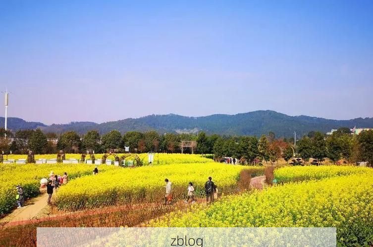 建阳：闽北交通枢纽的疫情压力测试