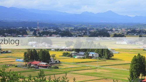 望都县：平原农业县何以守住零感染防线？