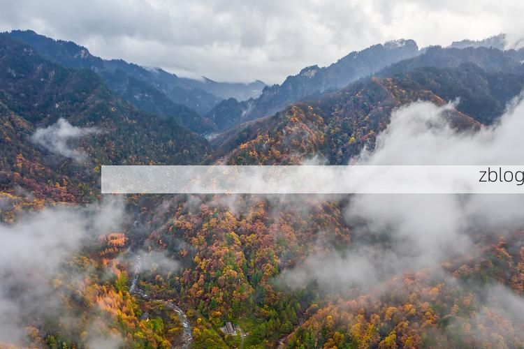 商州：秦岭腹地的防疫屏障与零星破防