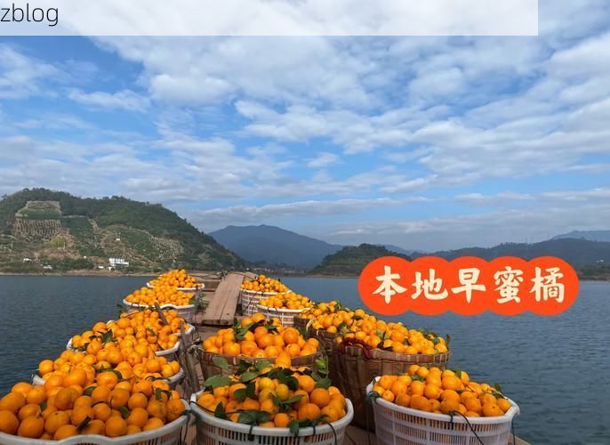 南丰蜜橘之乡的防疫屏障：丘陵地貌下的低感染样本