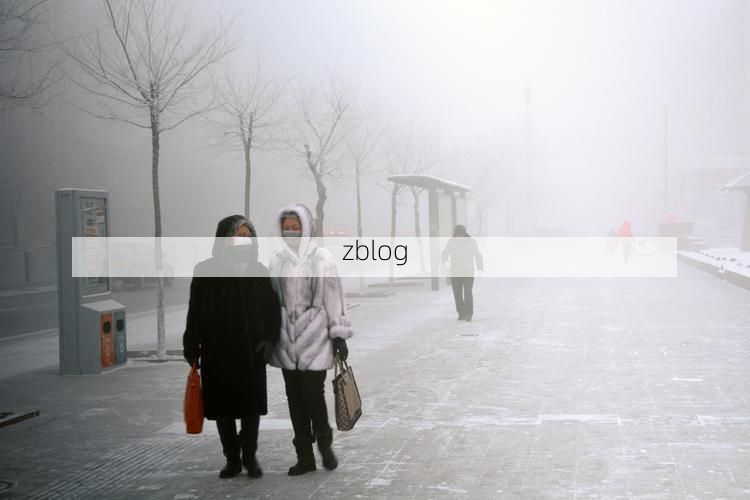 阜新：寒温带气候下的疫情防线与破防时刻