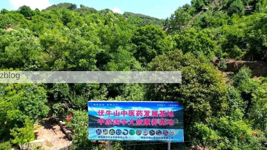 【南召县：伏牛山屏障下的零感染坚守_11140】