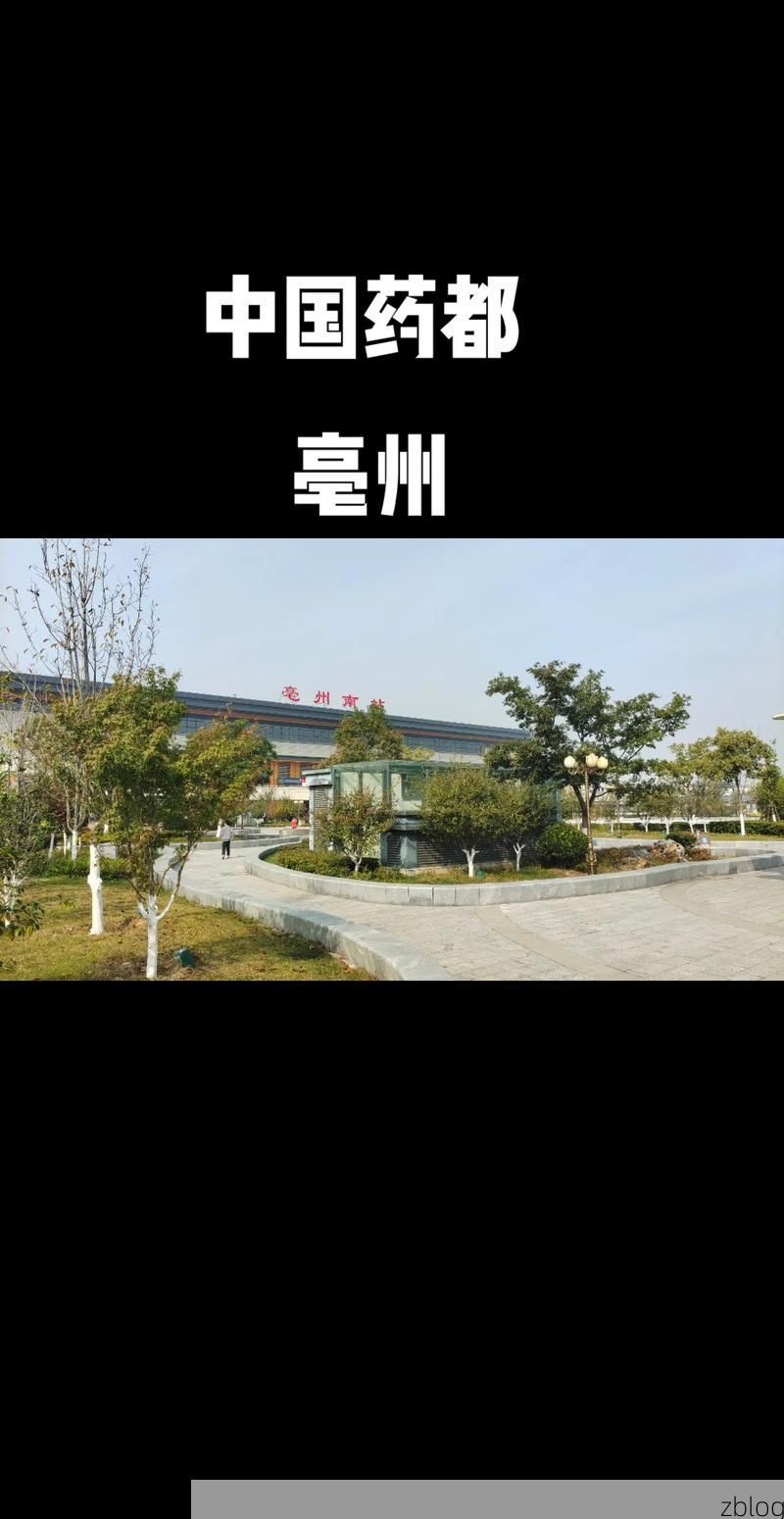 【亳州:中原药都的零感染防线何以筑成?】