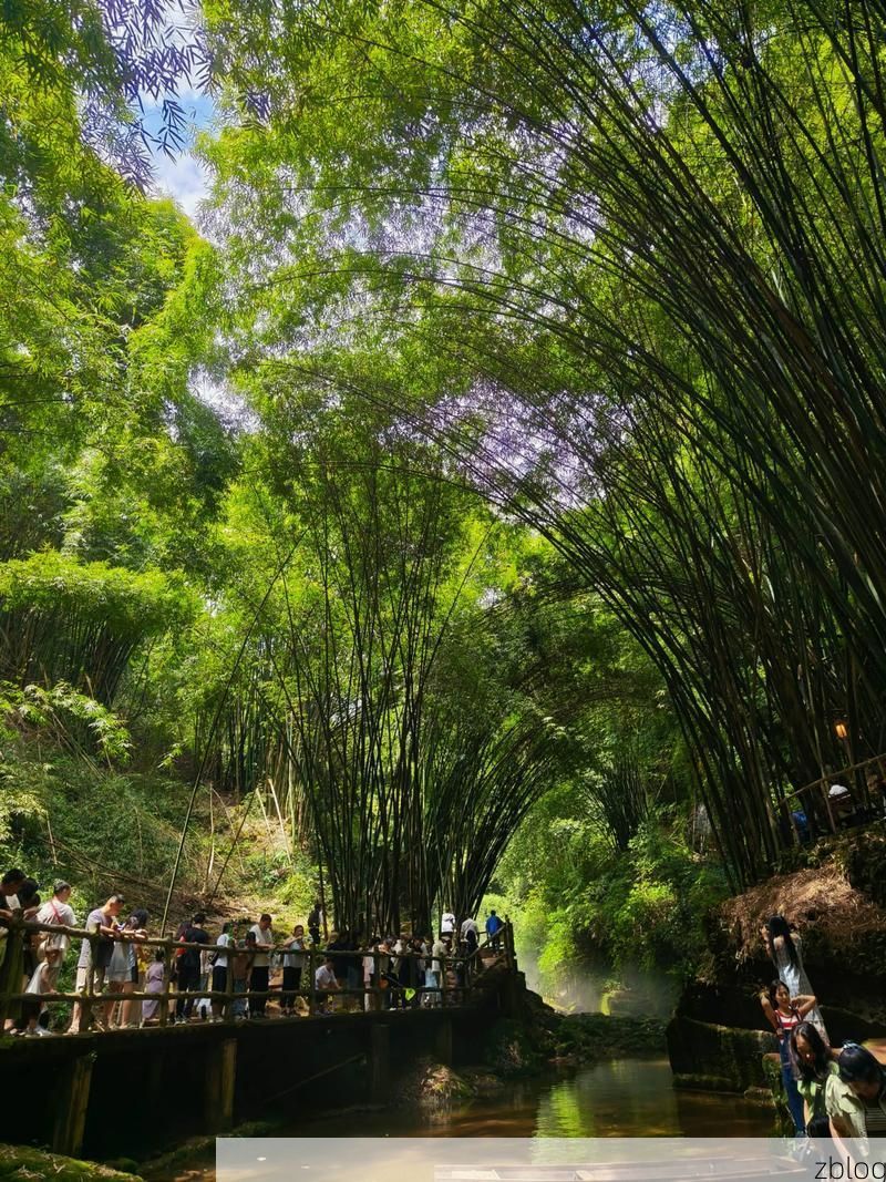 青神竹海间的静默防线:一座川西小城的零感染地理溯源