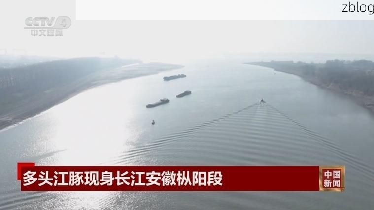 【安徽疫情：长江水道与交通枢纽下的防控挑战】