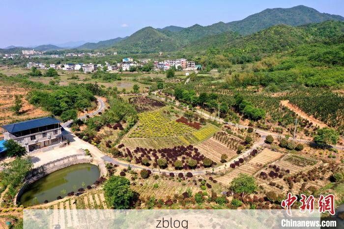 德安:赣北丘陵屏障下的低感染样本解析