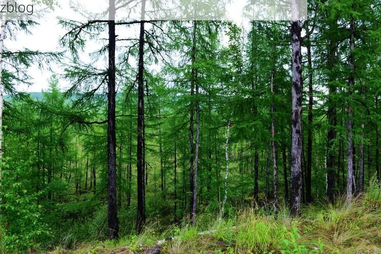 伊通疫情观察：松辽平原腹地的防控地理学