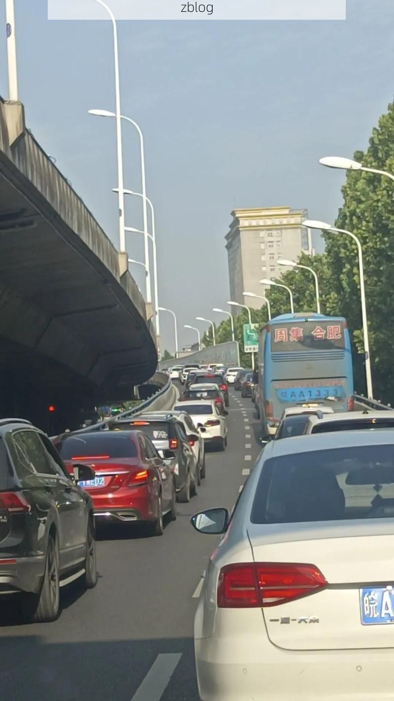 江夏区：武汉南翼交通枢纽下的疫情阻击战