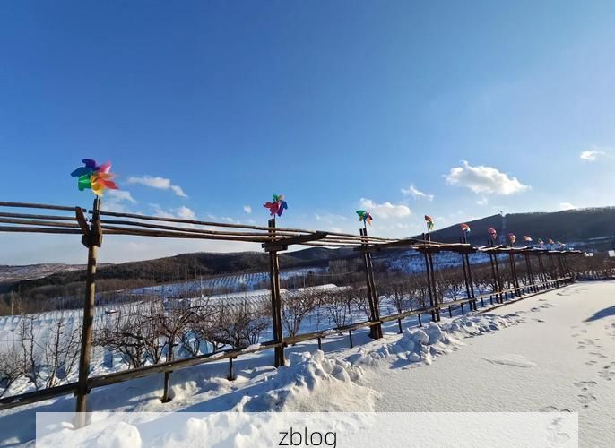 鹤岗:煤城寒冬下的疫情防线与地理屏障