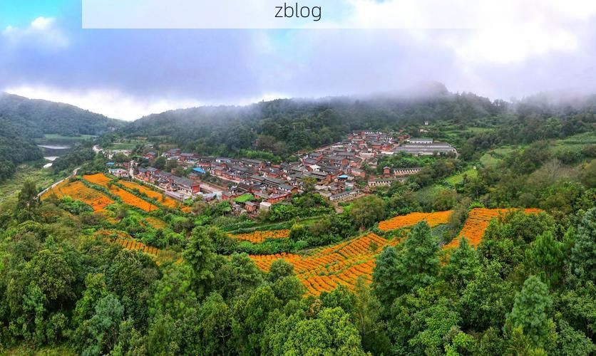 双柏新增1例无症状感染者  双柏县疫情防控最新通报_47354