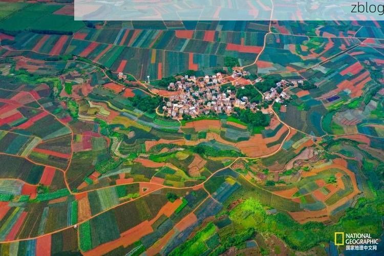 湛江:半岛地理屏障下的疫情破防时刻