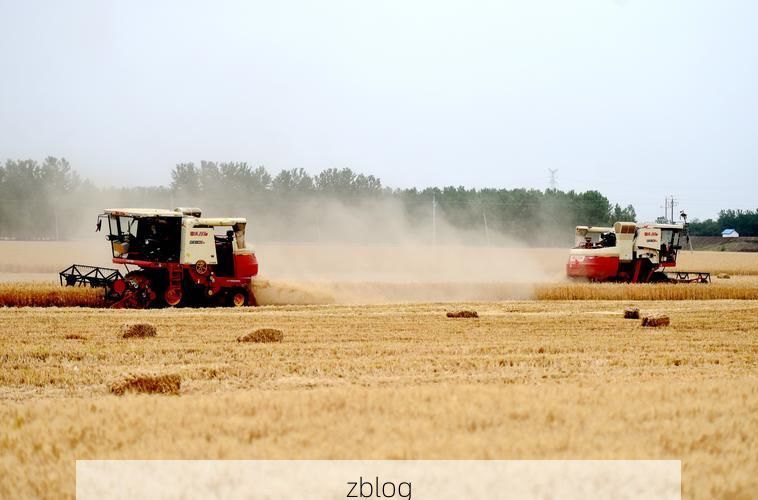 新蔡县疫情观察：黄淮平原腹地的防控样本